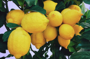 Lemon-A dangerous enemy or nutritional support?