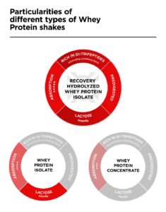 All you need to know about lactose protein isolate