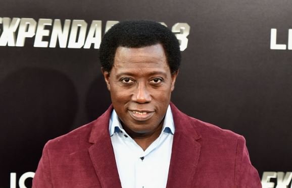 Net Worth of Wesley Snipes in 2019